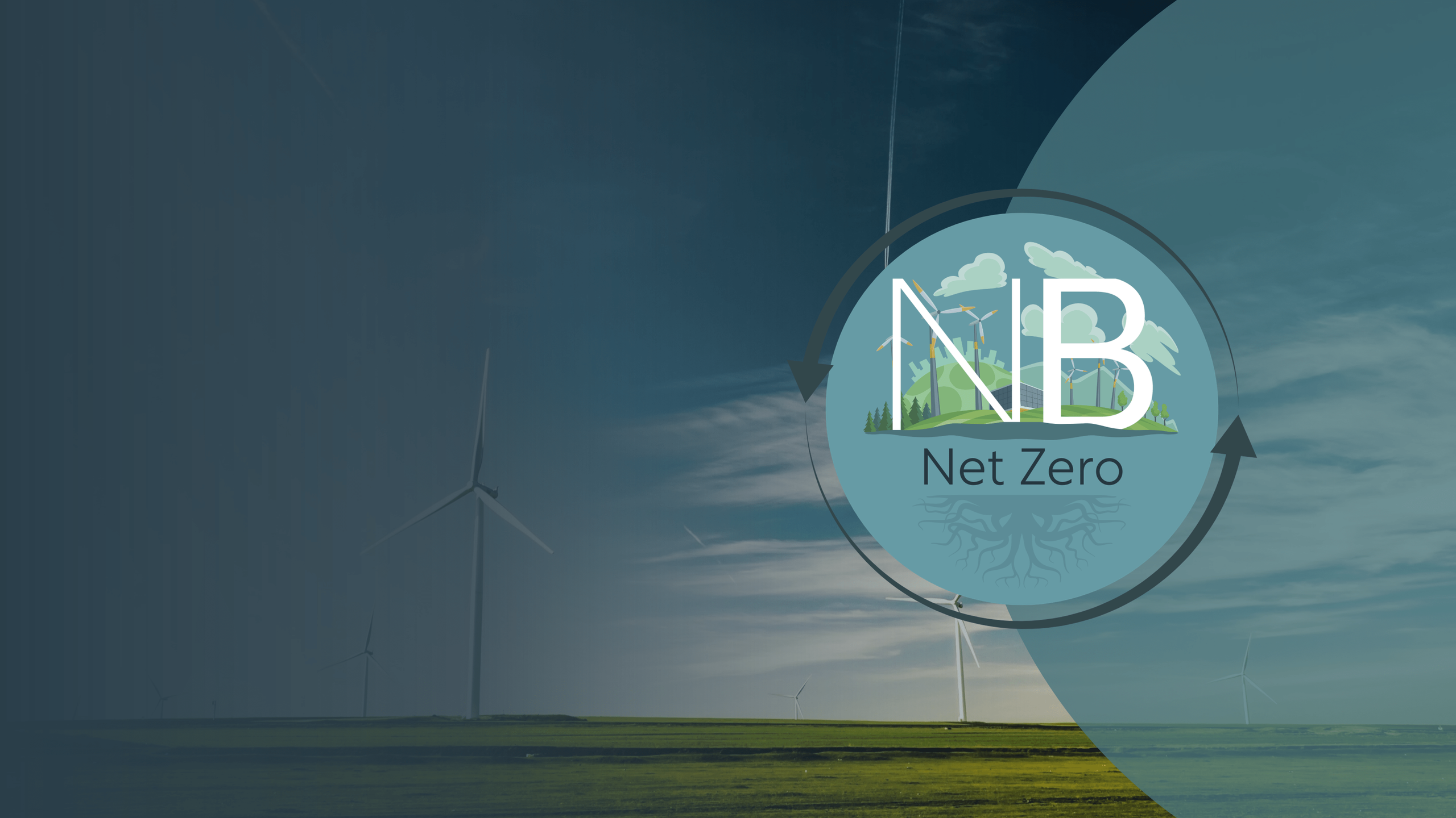 Nothing but net zero